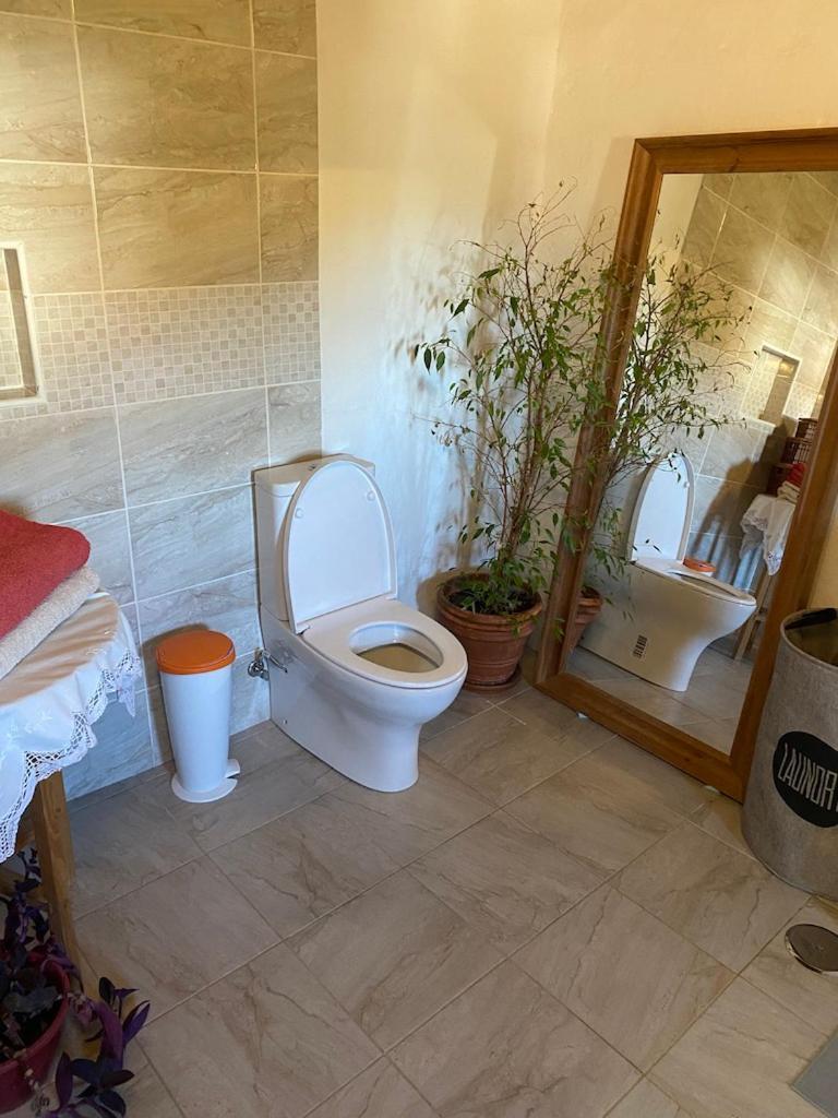 Yoga Farm Hostal Tavira Exterior foto
